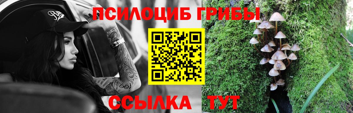 Галлюциногенные грибы ЛСД Сосновоборск